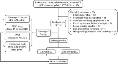 Evaluation of Amide Proton Transfer-Weighted Imaging for Risk Factors in Stage I Endometrial Cancer: A Comparison With Diffusion-Weighted Imaging and Diffusion Kurtosis Imaging